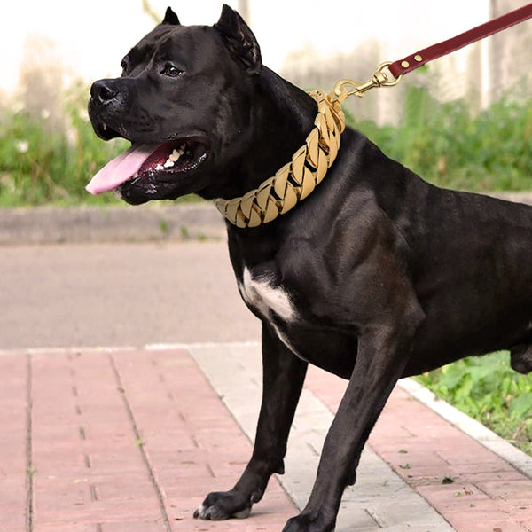 Miami Cuban Link Dog Collar and Leash Set – Happy Paws Dog Lounge