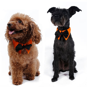 dog bow tie collars