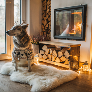 Winter Care 101: Essential Tips for Keeping Your Dog Healthy and Happy