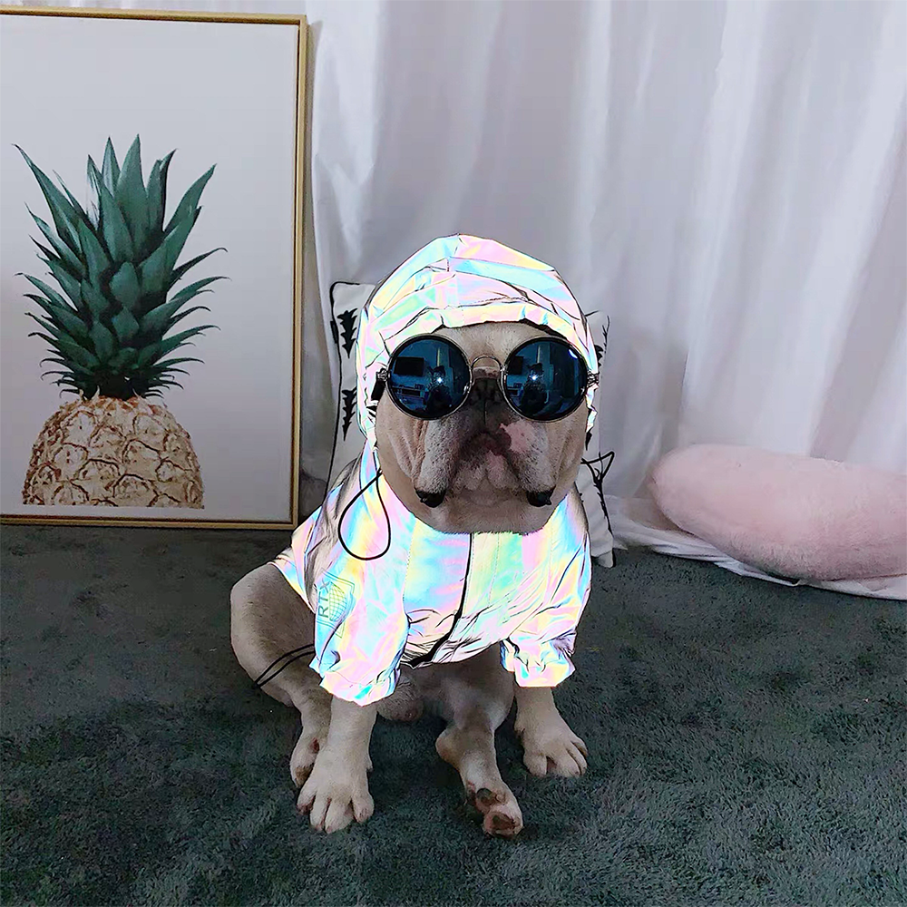 dog reflective iridescent rainbow jacket