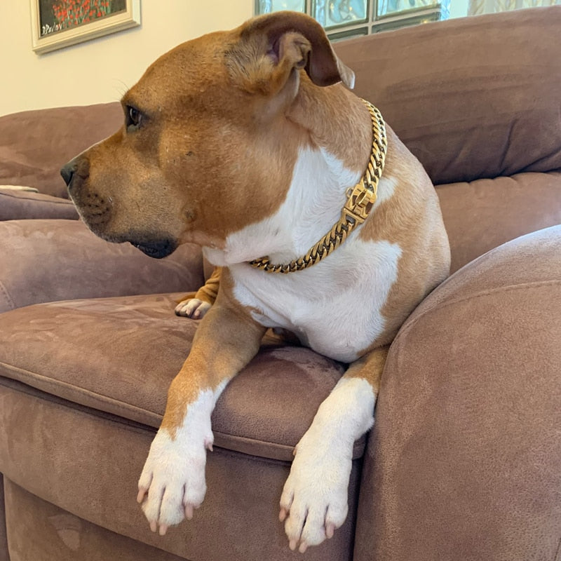 Miami Cuban Link Dog Collar and Leash Set-Gold