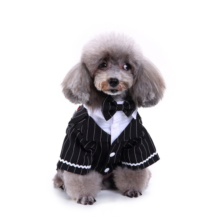 Classic Notch Lapels Dog Tuxedo Wedding Attire