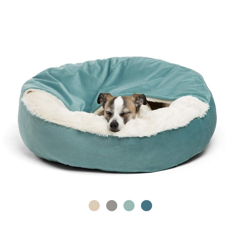 Pawcci Rainbow Designer Dog Bed