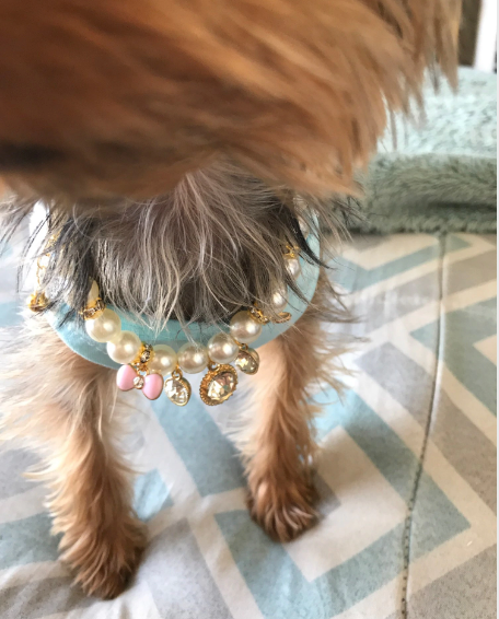 pearl necklace dog collar