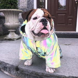 dog rainbow reflective jacket