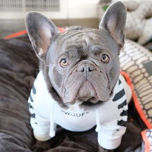 supreme off white hoodie poodle toy puppy french bulldogs adoption near me pug the dog puppy pugs for sale