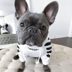 off white hoodie white pug puppy buy buy french bulldog puppies temperament of a poodle baby french bulldogs for sale buy frenchie puppy temperament of french bulldog miniature poodles