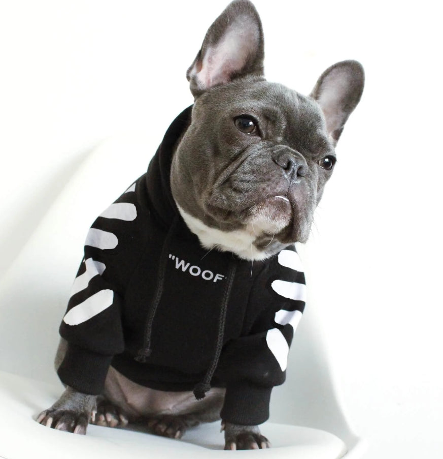 off white dog hoodie miniature poodles