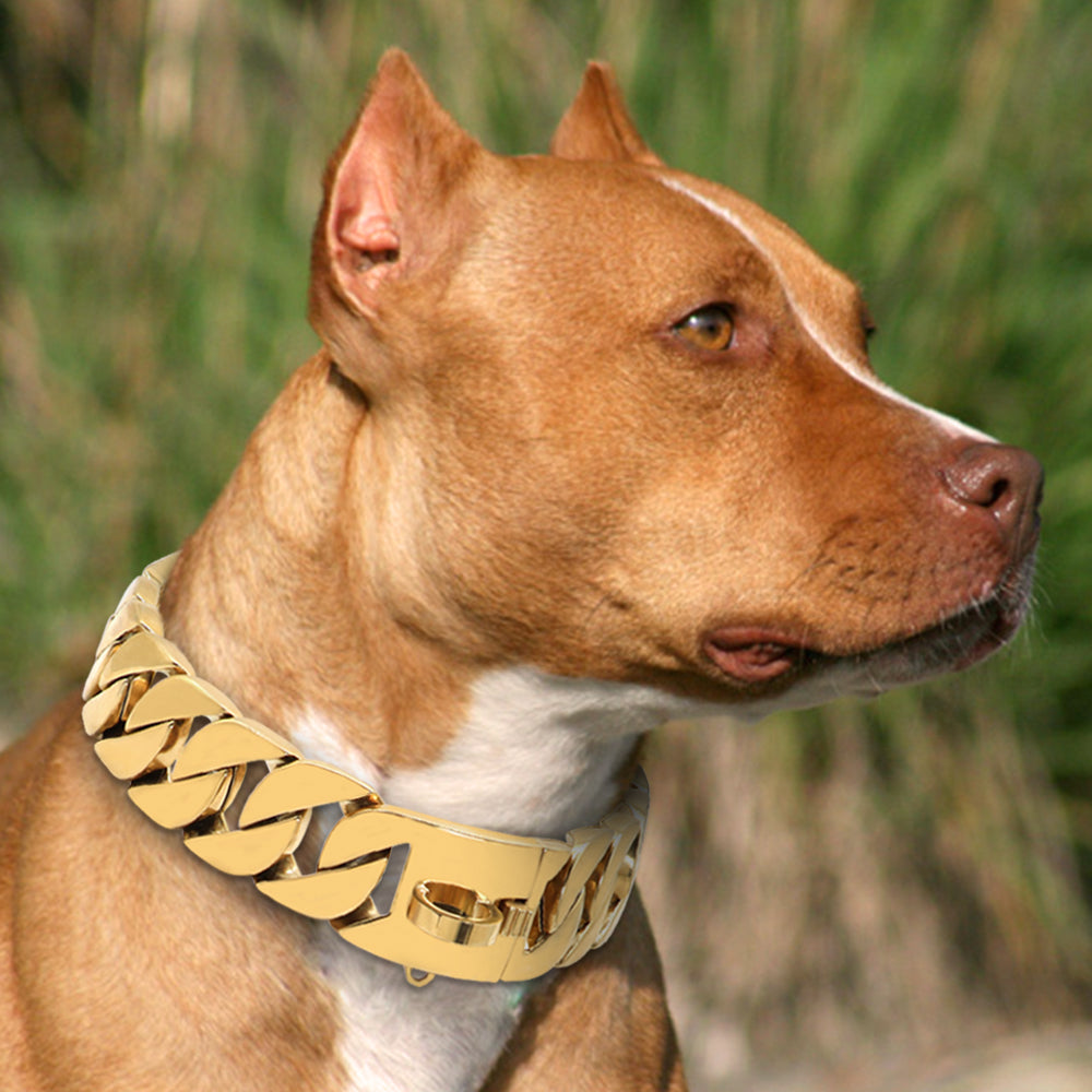 Miami Cuban Link Dog Collar and Leash Set – Happy Paws Dog Lounge