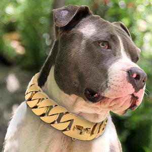 cuban link dog leash cuban chain for dogs cuban link dog collars dog cuban chain collar 