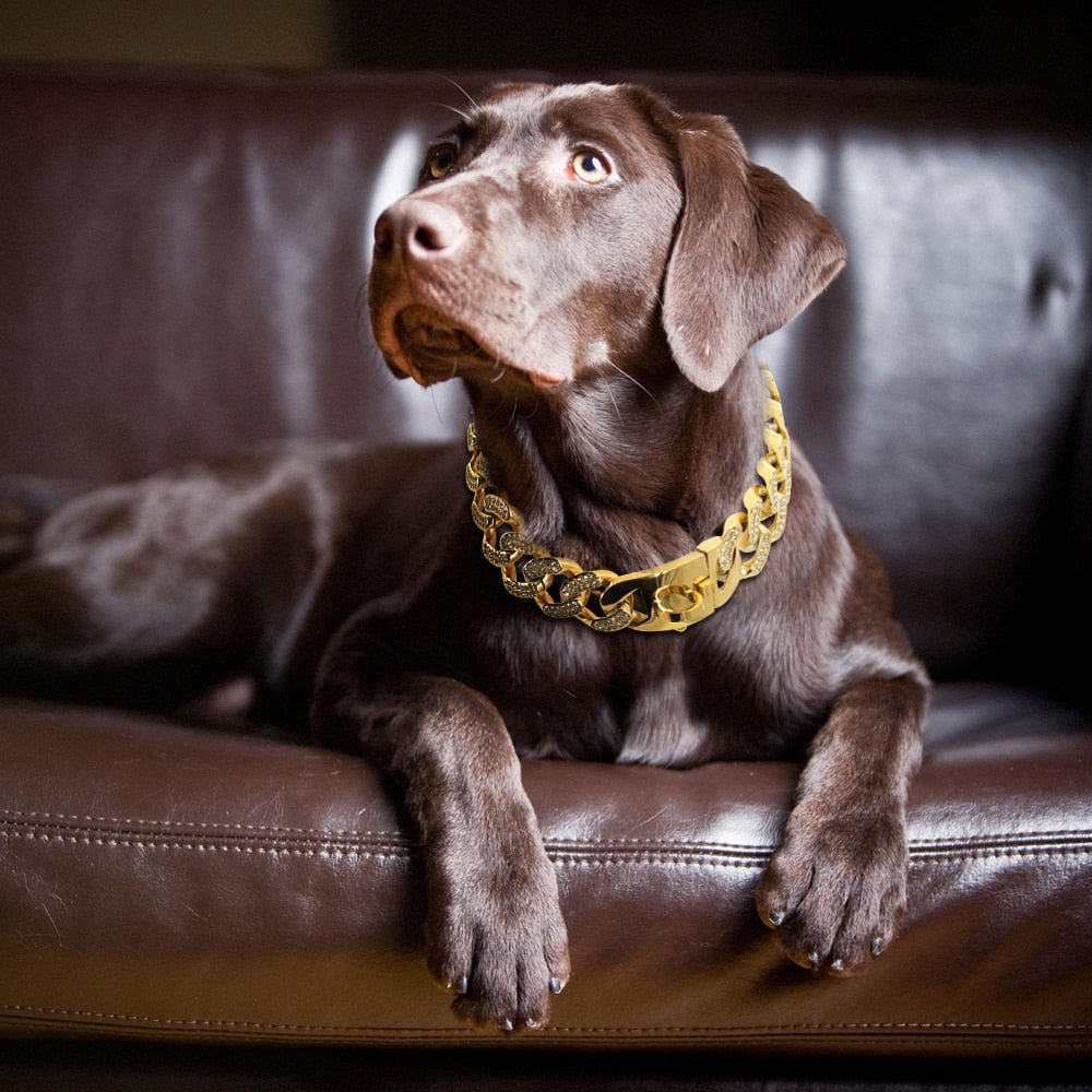 Miami Rhinestone Cuban Link Dog Collar-Gold