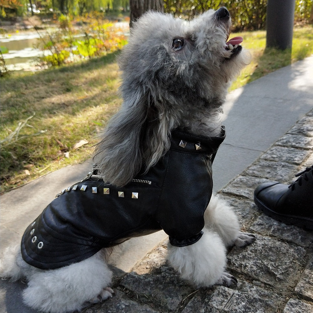Rocker Silver Studded Faux Vegan Leather Biker Black Jacket