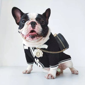 chanel knit cardigan french bulldog