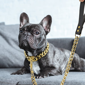 Miami Cuban Link Dog Collar and Leash Set