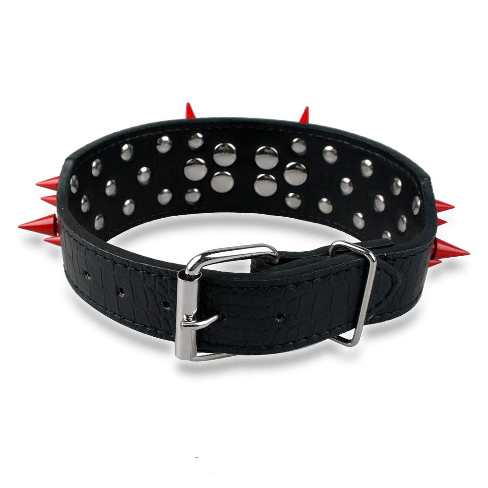 Spiked Leather Collar
